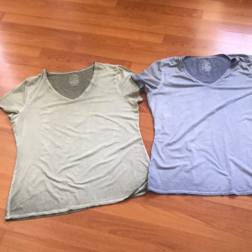 Time & Tru Two V-Neck Tee Set in Sage Green and Dusty Blue